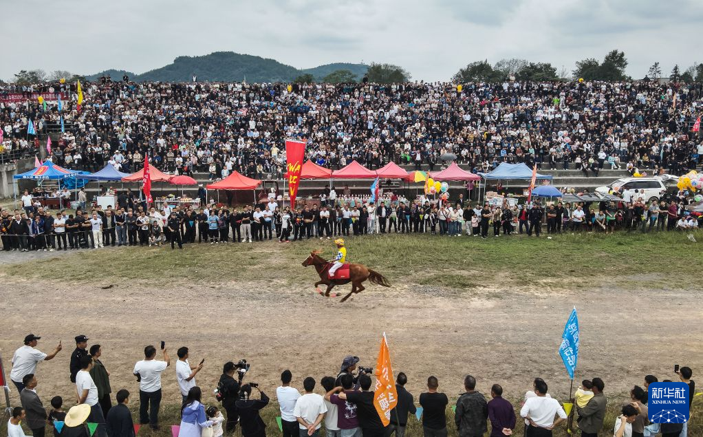 了解jcjc5500公海贵宾会